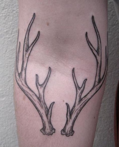 Antler Tattoos, Antler Tattoo, Stomach Tattoos, Cute Black Wallpaper, Elegant Tattoos, Body Mods, Back Tattoo, Antlers, Jesus Fish Tattoo