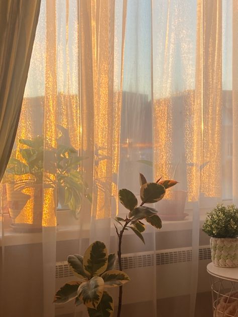 Sunrise Apartment, Islamic Wallpaper Iphone, Plants Are Friends, Scenery Photography, Forest Wallpaper, City Garden, Window View, City Landscape, A Level Art