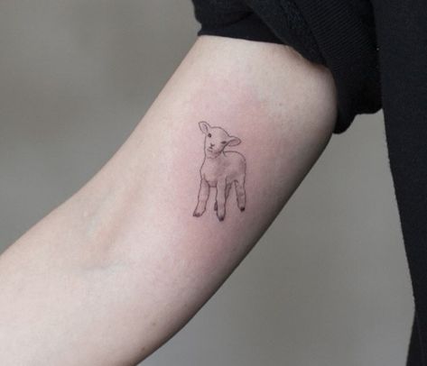 Dainty Lamb Tattoo, Lamb Fine Line Tattoo, Lamb Face Tattoo, Norway Inspired Tattoos, Fine Line Sheep Tattoo, Worthy Is The Lamb Tattoo, Lamb Outline Tattoo, Tiny Lamb Tattoo, Tiny Goat Tattoo