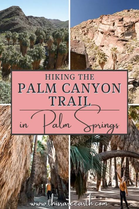 Hiking Palm Canyon Trail in Palm Springs - This Rare Earth Hiking Palm Springs, Palm Springs Hiking Trails, Palm Springs Hikes, Palm Desert Outfits, Desert Hiking Outfit, 2023 Adventure, Palm Springs Hiking, Palm Springs Outfit, California Hiking