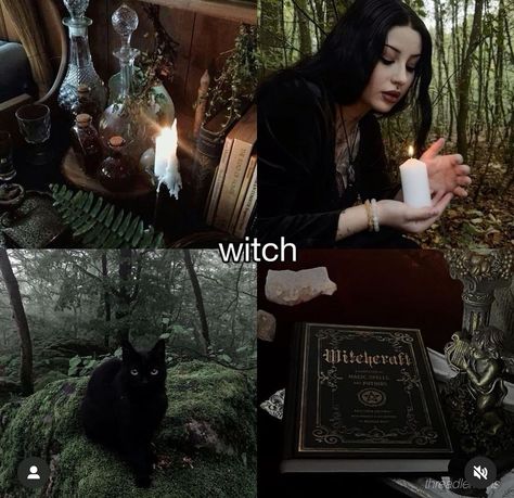 Dark Feminine Witch Aesthetic, Medieval Witch Aesthetic, Green Witchcraft Aesthetic, Witch Pfp, Dark Fairy Core, Green Witch Aesthetic, Witchcore Aesthetic, Medieval Witch, Greece Mythology