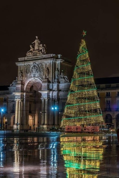 Portugal Christmas, Christmas Light Projector, Salted Cod, Nite Lights, Big Christmas Tree, Xmas Lights, Christmas Around The World, Xmas Trees, Beautiful Christmas Trees