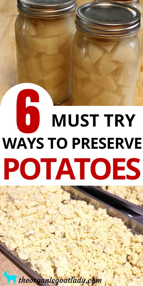 Preserving Potatoes, Preserve Potatoes, Freezing Potatoes, Dehydrated Potato Flakes, Canning Potatoes, Dehydrate Potatoes, Preserving Vegetables, Food Preserving, Canning Sweet Potatoes