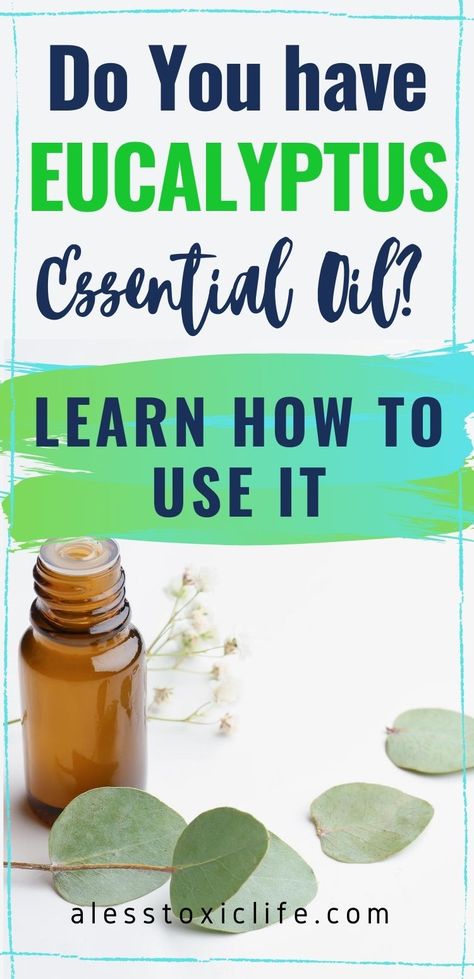 Learn the benefits, uses and how to use eucalyptus essential oil. Recipes, inhaler blends, diffuser blends, natural diy ways to use essential oils. #doterra #eo #youngliving #diffuserblends #diy #natural #lesstoxic Lemon Eucalyptus Diffuser Blends, Eucalyptus Essential Oil Blends, Eucalyptus Diffuser Blends, Eucalyptus Blends, Eucalyptus Essential Oil Uses, Eucalyptus Oil Uses, Benefits Of Eucalyptus, Eucalyptus Diy, Diffuser Blends Young Living