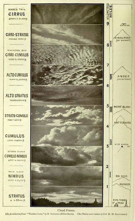 Cloud Diagram, Stratus Clouds, Cloud Atlas, Cloud Illustration, Moon Clouds, Andes Mountains, Cloud Drawing, Meteorology, Nature Study