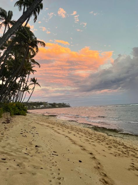 Orange Sunset Beach, Uh Manoa, Outside Nature, Sunset Palm Trees, Sunset Pic, Wallpapers Ipad, Hawaii Pictures, Hawaiian Sunset, North Shore Oahu