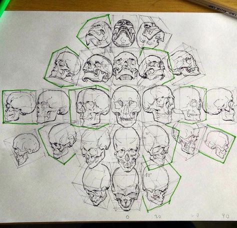 Skull Anatomy, Skull Reference, Výtvarné Reference, Human Anatomy Drawing, Human Anatomy Art, Drawing Studies, Perspective Art, Drawing Faces, 캐릭터 드로잉