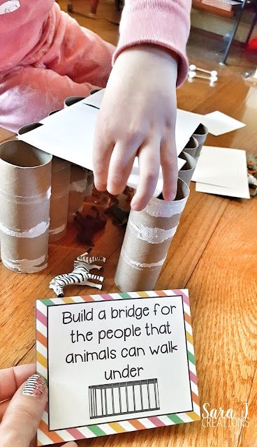 Zoo Hands On Activities, Stem Bins, Stem Activities Preschool, Kindergarten Stem, Build A Bridge, Zoo Activities, Steam Ideas, Zoo Theme, Stem Elementary