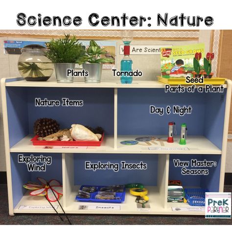 Science Center: Nature Science Discovery Center Kindergarten, Science Discovery Center, Science Area For Preschool, Science Centre For Preschool, Science And Nature Center Preschool, Discovery Center Kindergarten, Ecers 3 Science Center, Reggio Inspired Science Center, Preschool Wow Experiences