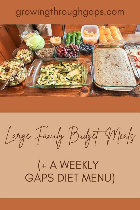 Large Family Nourishing Budget Meals, GAPS Diet, Paleo, Food Prep, Kitchen Hacks, Bulk Food Prep, Whole Foods, 5 Day Meal Plan, Healthy Meals, Groceries on a Budget

Nourishing recipes, or eating a GAPS diet meal plan does not have to be extraordinarily expensive, even for a large family.  I once heard someone say, “What we do not spend on healthy food now, we will pay for in medical bills later.” Gaps Diet Meal Plan, Gaps Meal Plan, Gap Diet Recipes, Full Gaps Recipes, Full Gaps Diet Recipes, Real Food Diet Meal Plan, Bulk Meals For Family, Gaps Diet Recipes Stage 1, Gaps Meals