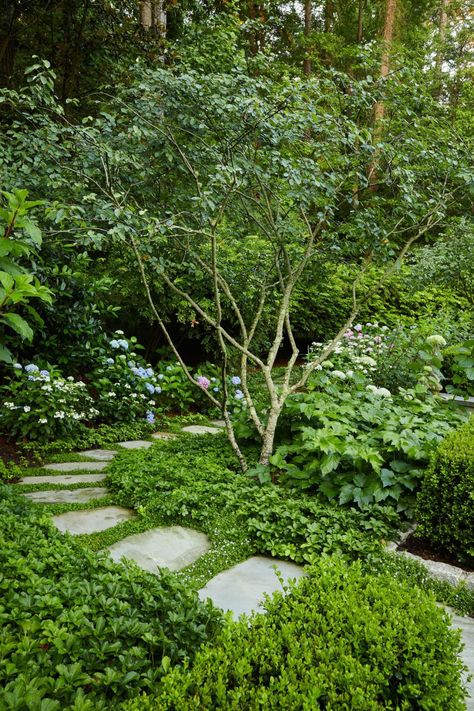 Drawing Garden Design, Garden Design Plans Drawing, Small Garden Landscaping Ideas, Vegetable Garden Design Layout, Small Garden Landscaping, Soft Landscaping, Rock Garden Ideas, Garden Landscaping Ideas, Gardening Design