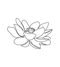 Waterlily Drawing, Water Lily Illustration, Water Lily Drawing, Water Lily Tattoos, Lilies Drawing, One Line Tattoo, One Line Art, Lily Tattoo, Continuous Line Drawing