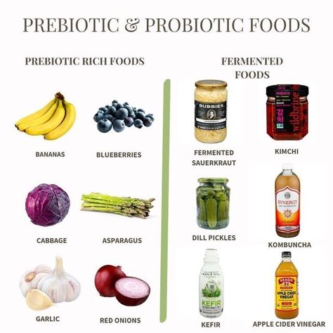 Prebiotic Foods, Vegan Probiotics, Gut Health Diet, Gut Health Recipes, Solve The Problem, Prebiotics And Probiotics, Poor Circulation, Probiotic Foods, Healthy Food Motivation