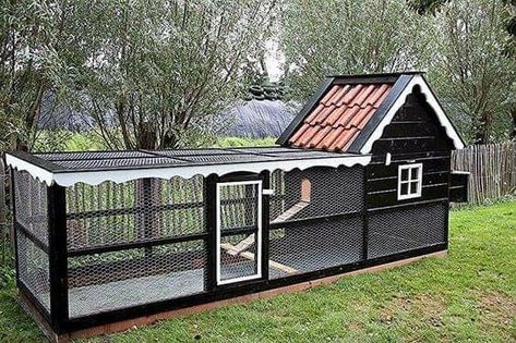 Reban Ayam, Cute Chicken Coops, Chicken Coop Garden, Chicken Barn, Backyard Chicken Coop Plans, Diy Chicken Coop Plans, Chicken Coop Run, Backyard Chicken Farming, Chicken Cages