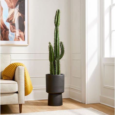 Faux Potted Cactus & Bishop Indoor/Outdoor Planter | West Elm Canada Pedestal Planter, Potted Cactus, Cactus Plant Pots, Faux Cactus, West Elm Kids, Indoor Outdoor Planter, Cactus Plant, Wood Planters, Outdoor Planters