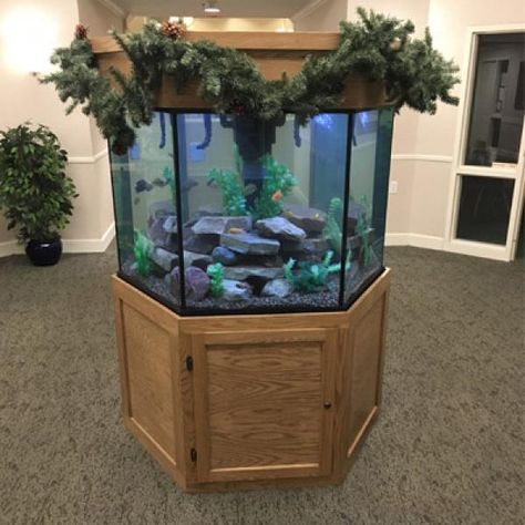 Hexagon Fish Tanks - Custom Aquariums Hexagon Aquarium Ideas, Hexagon Fish Tank, Hexagon Aquarium, Rimless Aquarium, Custom Aquarium, Acrylic Aquarium, Aquarium Led, Pricing Calculator, Glass Aquarium