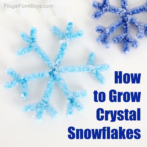 Borax Crystal Snowflake Science Experiment - Frugal Fun For Boys and Girls Snowflake Crystals, Borax Snowflakes, Snowflakes Science, Winter Science Experiments, Borax Crystals, Winter Science, How To Make Snowflakes, Growing Crystals, Experiments For Kids