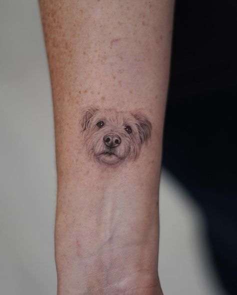 Small Dog Face Tattoo, Single Needle Dog Tattoo, Pet Face Tattoo, Micro Dog Tattoo, Dog Tattoo Realism, Small Dog Portrait Tattoo, Animal Pfp Aesthetic, Dog Face Tattoo, Realism Animal Tattoo