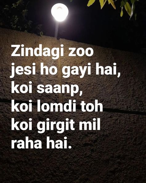 Funny Lines In Hindi, Hindi Funny Quotes, Funny Shayari Hindi, Funny Bio Quotes, Funny Bio, Really Funny Quotes, Funny Shayari, Funny Compliments, सत्य वचन