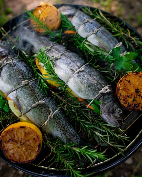 Get Hooked on this Trout Recipe on Your Next Camping Trip Sea Trout Recipe, Freshwater Fish Recipes, Camping Fish Recipes, Fresh Trout Recipes, Best Grilled Trout Recipes, Campfire Trout Recipes, Steel Head Trout Recipes Grilled, Grilled Lake Trout Recipes, Grilled Trout Recipes