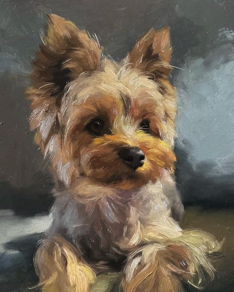 Inspo • Instagram Pet Oil Paintings, Dog Portraits Painting Oil, Yorkshire Painting, Jennifer Gennari, Yorkie Painting, Painting Dogs, Pet Portrait Paintings, Canvas Art Painting Acrylic, Dog Portraits Painting