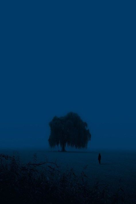 WELCOME Silent Pictures, Dark Naturalism, Blue Aesthetic Dark, Dark Blue Wallpaper, Night Scenery, Blue Hour, Cinematic Photography, Night Sky Photos, Dark Photography