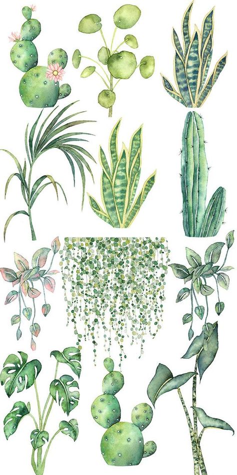 Boho Plants, Cactus Clipart, Watercolor Boho, Pink Watercolor Flower, Illustration Botanique, Watercolor Cactus, Watercolor Plants, Plant Painting, Monstera Plant