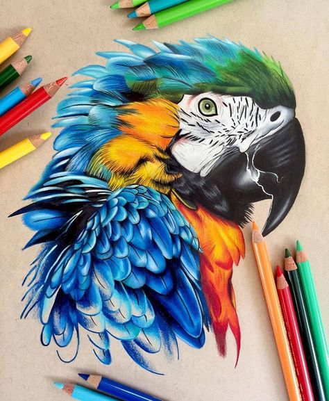 Coloured Pencil Animal Drawings, Colored Pencil Design, Colored Pencil Artwork Ideas Beautiful, Animal Realistic Drawing, Pencil Realistic Drawings, Colorful Animal Drawings, Prismacolor Art Realistic, Color Pencil Art Drawings, Color Pencil Art Realistic