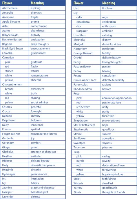 Plants With Meaning, Flower Meanings Chart, Gardina Flowers, Carnation Flower Meaning, Plant Symbolism, Meanings Of Flowers, Receive Flowers, Coping Skills Activities, Faithful Love