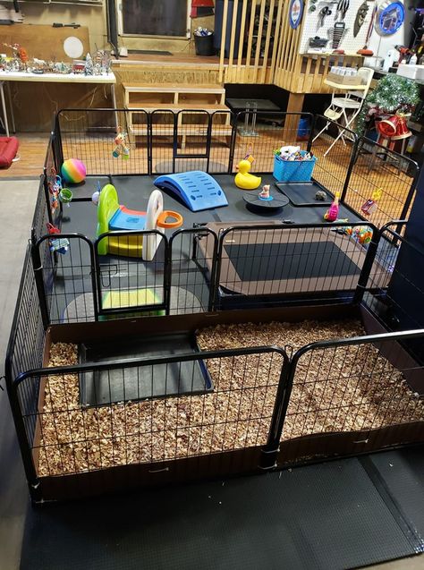 Whelping Pen Ideas, Puppy Zone Ideas, Dog Foster Room, Puppy Weaning Pen, Puppy Pens Indoor, Outdoor Puppy Pen, Indoor Puppy Play Area Dog Rooms, Puppy Breeding Setup, Puppy Play Area Indoor