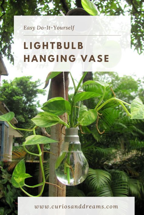 Light Bulb Planter Hanging, Diy Cheap Decor, Hanging Plant Diy, Glass Vase Diy, Quick Craft Ideas, Light Bulb Plant, Light Bulb Vase, Recycled Light Bulbs, Diy Light Bulb