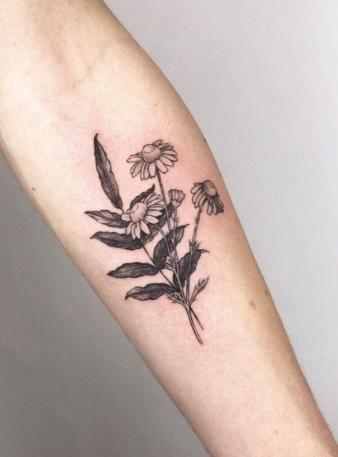 Chamomile Flower Tattoo, Chamomile Tattoo, Flower Pattern Tattoo, Tattoo For Woman, Chamomile Flower, Chamomile Flowers, Pattern Tattoo, Flower Tattoo Designs, Beautiful Flower