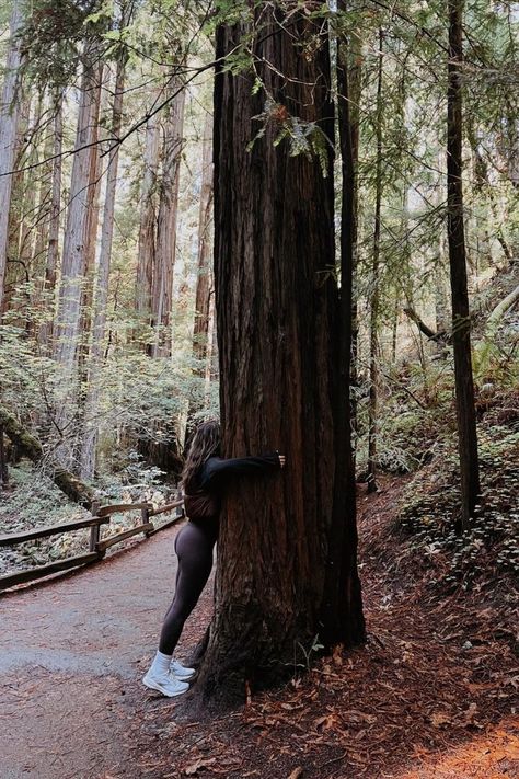 Nature, Hiking Astethic Outfits, Redwoods Outfit, Hike Aesthetic Winter, Muir Woods California Outfit, Redwoods Hiking Outfit, Hicking Outfits Aesthetic, Hiking Asethic, Hiking Photo Shoot