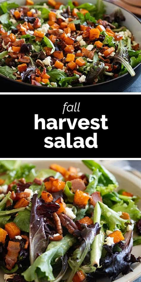 Filled with the flavors of fall, this Fall Harvest Salad is the perfect side dish for holidays or as a part of any dinner. Made with butternut squash, bacon, pecans, and dried cranberries, this is a salad you will want to make over and over again. Popular Salad Recipes, Harvest Fall Salad, Fall Salads For A Crowd, Salad Autumn, Spring Mix Salad Recipes, Savory Potato Salad, Harvest Salad Recipes, Butternut Squash Bacon, Cranberry Spinach Salad