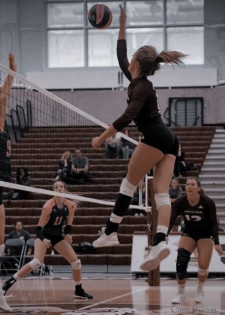 Volleyball Player Aesthetic, Volleyball Photography, Volleyball Wallpaper, Indoor Volleyball, Volleyball Photos, Volleyball Poses, Soccer Photography, Best Workout Plan, Volleyball Inspiration