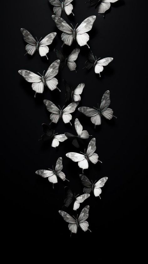 Photography of flying butterflies black monochrome white. | premium image by rawpixel.com / Aew Nature, Black Butterflies Aesthetic, Black Butterfly Wallpaper, Iphone Wallpaper Butterfly, Butterfly Phone Wallpaper, Vibes Background, Wallpaper Butterfly, Flying Butterflies, Beautiful Eyes Images