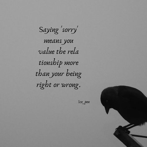 Why Do I Always Say Sorry, Why Do I Say Sorry So Much, Saying Sorry Quotes, Sorry Quotes, Say Sorry, Saying Sorry, One Liner, Tell The Truth, Love Quotes