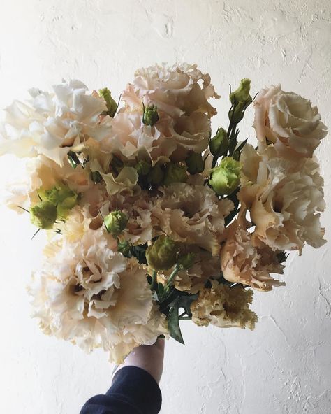 Dried Lisianthus, Champagne Lisianthus, Cream Lisianthus, Apricot Lisianthus, Roseanne Brown Lisianthus, Rosanne Brown Lisianthus, Fluffy Flowers, Lisianthus Flowers, Fav Flower