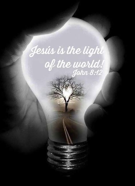 Jesus Is The Light Of The World, Jesus Is The Light, I Am The Light, He Is Lord, Lit Af, John 8 12, Walk In The Light, Heaven Art, Women's Ministry