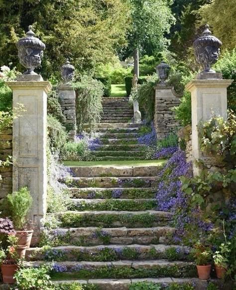 Manor Garden, Ideas Garden Design, Garden Stairs, Areas Verdes, Trees And Flowers, English Manor, Wedding Garden, Ideas Garden, English Garden