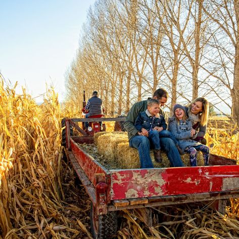 Hay Ride Ideas, Thanksgiving Scavenger Hunt, Hay Ride, Thanksgiving Activity, Treasure Hunts, Fall Faves, Scenic Road Trip, Fun Fall Activities, Creative Pumpkins