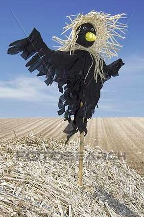 Scarecrow Festival, Make A Scarecrow, Scarecrows For Garden, Diy Scarecrow, Scarecrow Crafts, Halloween Scarecrow, Fall Scarecrows, Garden Whimsy, Large Photos