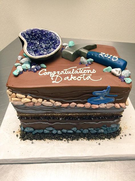 Geology Cake, Science Cake, Rock Cake, Geode Cake, Fancy Cakes, Creative Cakes, Cute Cakes, Cakes And More, Party Cakes