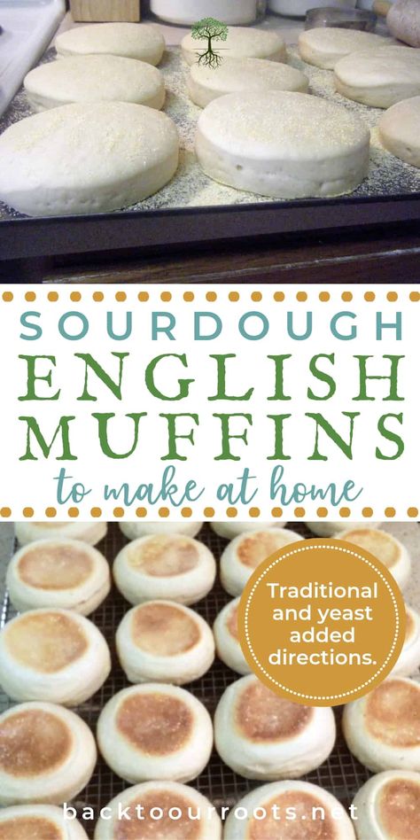 Bread Types, Sourdough English Muffins, English Muffin Recipes, Whole Wheat Sourdough, Sourdough Starter Discard Recipe, Homemade Sourdough Bread, Bread Starter, Sourdough Starter Recipe, English Muffins