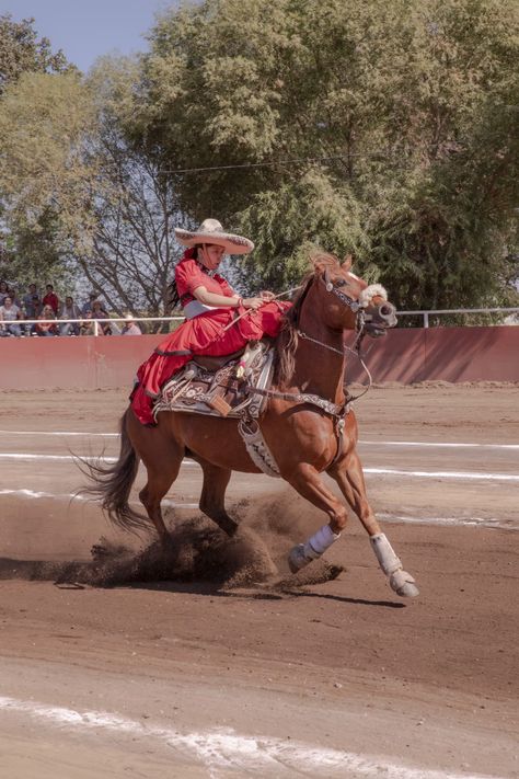 Mexican traditions live on in California through female rodeo performers Riding Pictures, Mexican Rodeo, Rodeo Rider, National Geographic Photographers, Mexican Revolution, Mexican Traditions, Native American Pictures, Mexican Women, Female Fighter