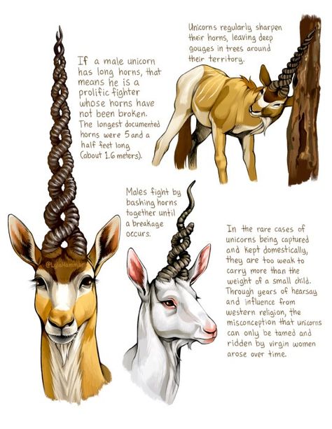 (99+) My take on unicorns! I'd really love to make a mythical creature field guide someday, since the Spiderwick Field Guide is what... – @lylahammar no Tumblr Myths & Monsters, Start Drawing, Creature Artwork, Creature Drawings, Mythical Creature, Fantasy Creatures Art, Arte Sketchbook, Mythical Creatures Art, Mythological Creatures