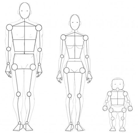 Figure Proportions, Bodies Drawing, Proportions Drawing, Human Proportions, Figure Drawing Female, Drawing Body Proportions, Male Figure Drawing, Human Body Drawing, Human Figure Sketches