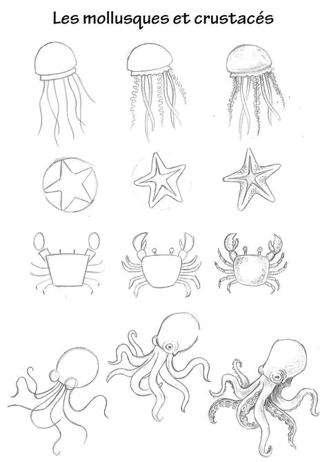 Marine Animal Drawings Easy, Under The Sea Animals Drawings, Jelly Fish Drawing Easy Step By Step, Underwater Animals Drawing Easy, Fishes Drawing Easy, Under Ocean Drawing, Easy Under The Sea Drawings, How To Draw Marine Animals, Easy Fish Drawing Step By Step