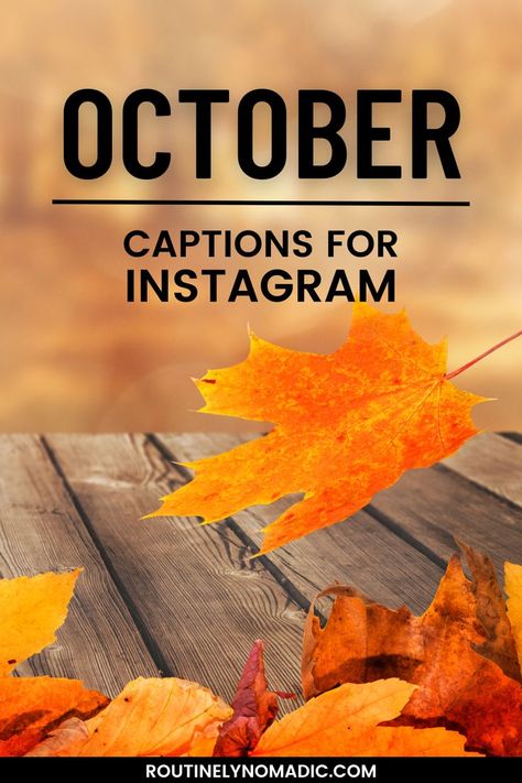 Fall leaves with October captions for Instagram October 1st Quotes Halloween, Welcoming October Quotes, October Favorite Month, Quotes About October Month, October Business Quotes, First Day Of October Funny, October Fitness Quotes, October Recap Captions, October 1st Quotes Inspirational