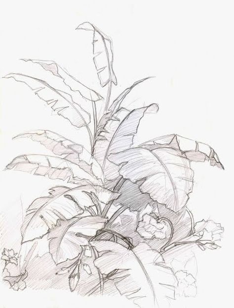 Plant Sketches, Nature Sketch, Landscape Sketch, Nature Drawing, Plant Drawing, Best Tattoo Designs, Arte Sketchbook, Pencil Art Drawings, Landscape Drawings